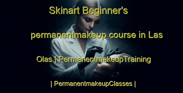 Skinart Beginner's permanentmakeup course in Las Olas | PermanentmakeupTraining | PermanentmakeupClasses | SkinartTraining-Mexico